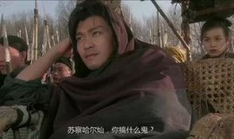 赵文卓苏乞儿在线观看,江湖传奇再续辉煌