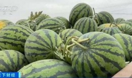 网红吃瓜不用钱了吗,免费享受娱乐盛宴