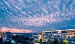 吉首大学爆料事件最新进展,最新进展揭秘，真相逐渐浮出水面