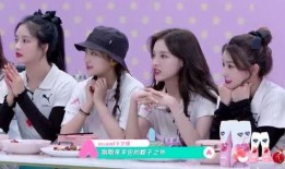 二小姐团队爆料视频在线观看,精彩内容抢先看